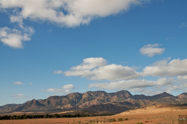 AustraliaAdelaide 10  156